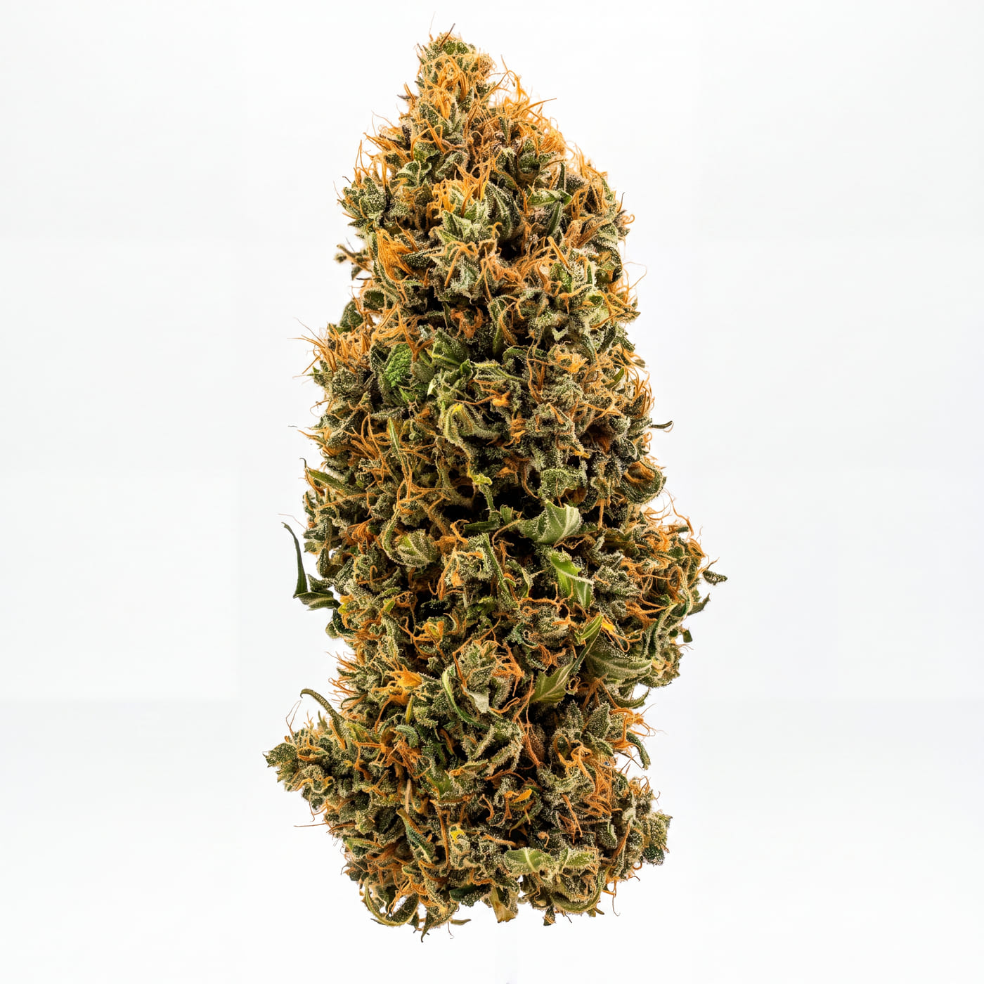 Fleur CBD Blue Meringue - Indoor