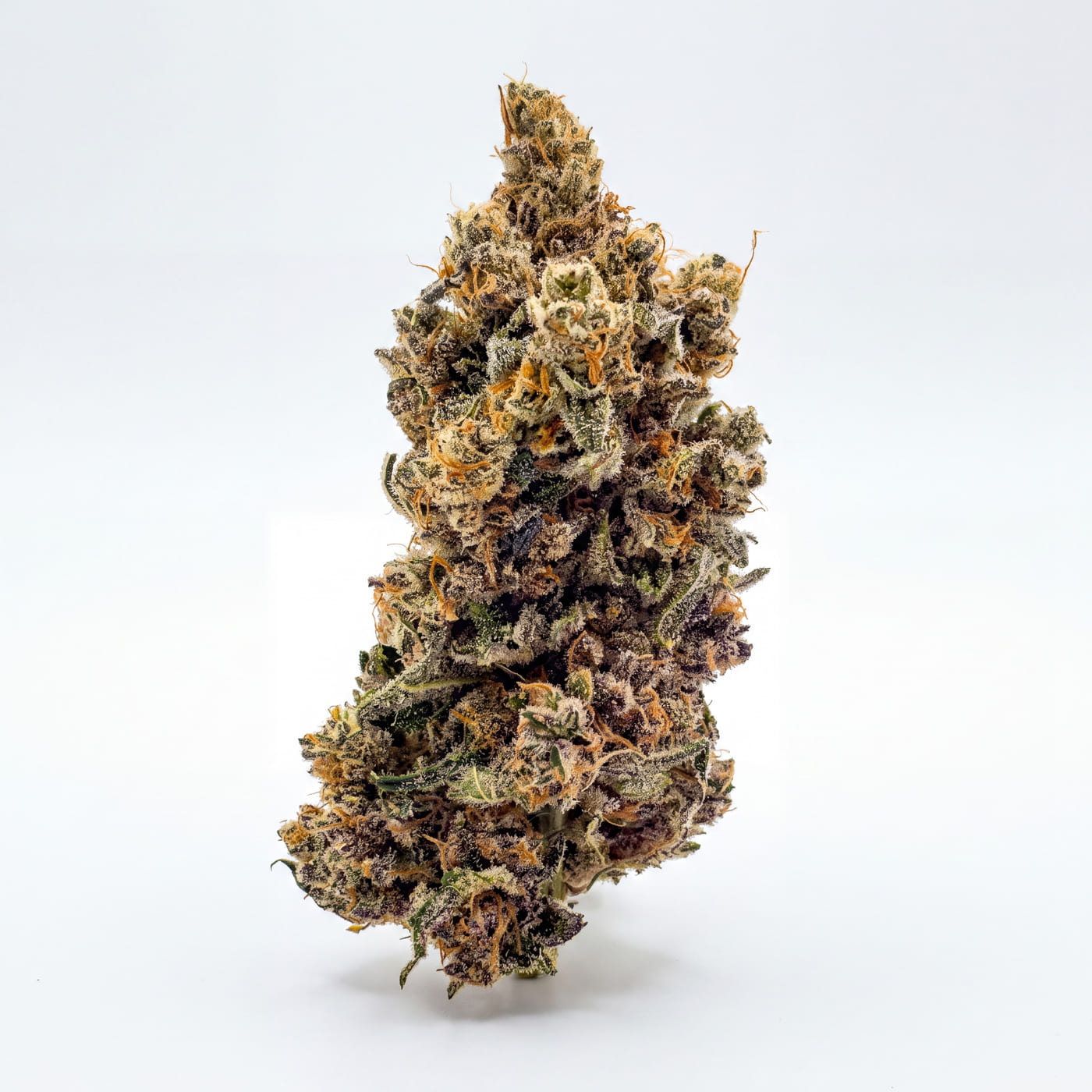Fleur CBD Banana Capione - Indoor